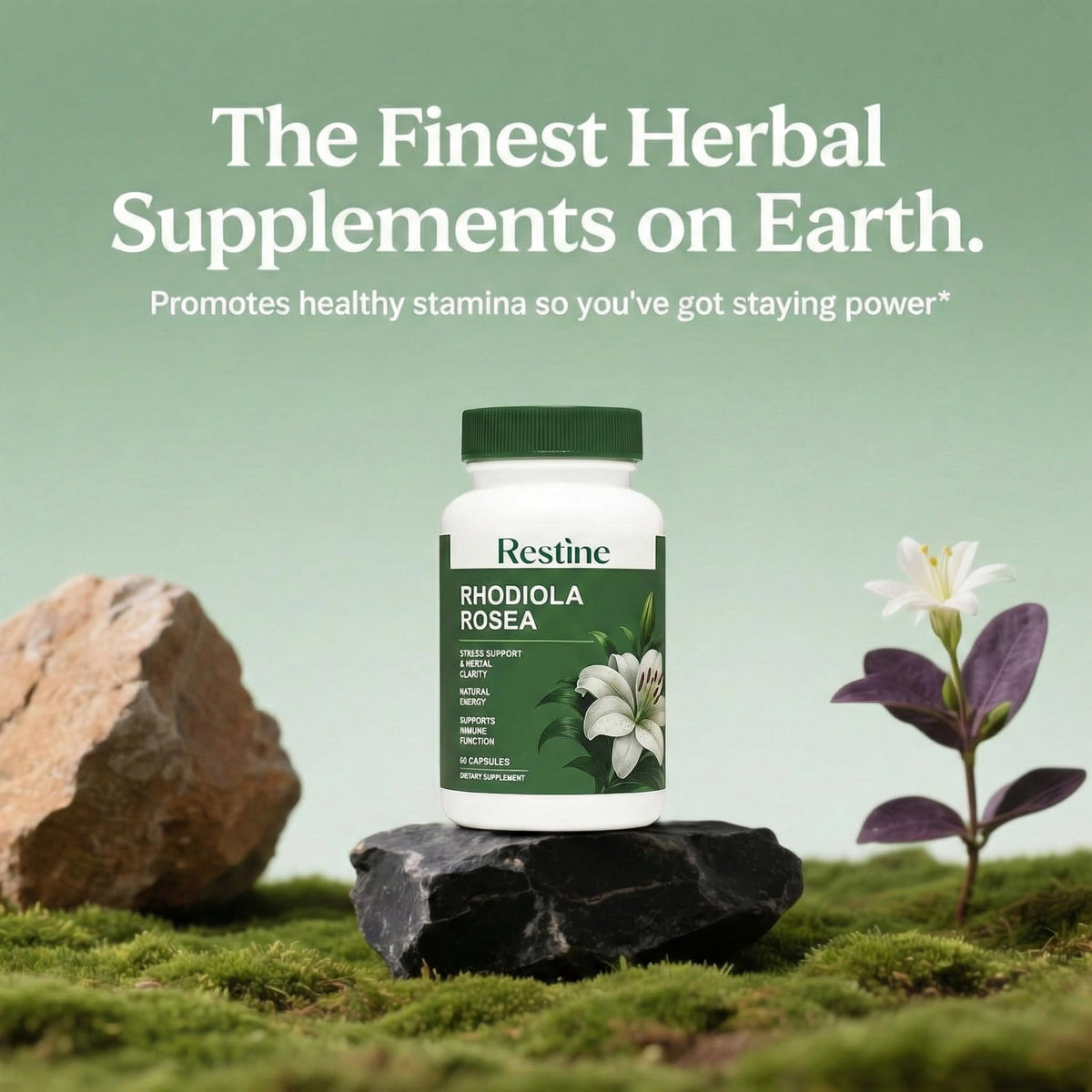 Restine Rhodiola Rosea